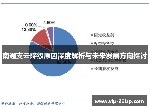 南通支云降级原因深度解析与未来发展方向探讨