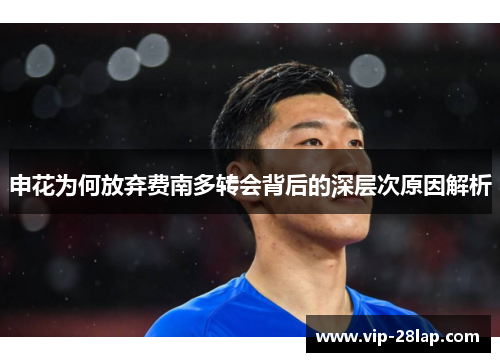 申花为何放弃费南多转会背后的深层次原因解析