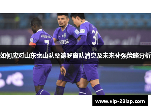如何应对山东泰山队桑德罗离队消息及未来补强策略分析