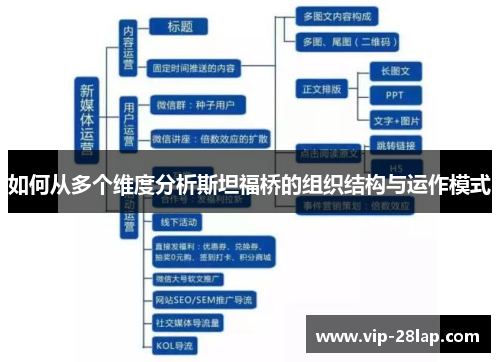 如何从多个维度分析斯坦福桥的组织结构与运作模式